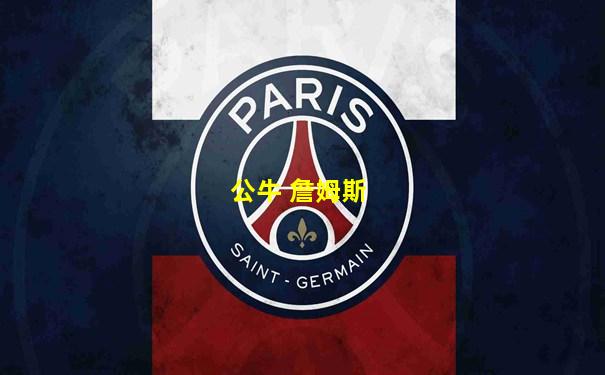 公牛 詹姆斯